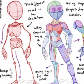 How to Learn Anatomy by Mitch Leeuwe  (Premium)