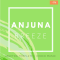 Innovation Sounds Anjuna Breeze Ableton Trance Template (Premium)