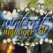 Nightiger (@nightigerxo) winternite kit (Premium)