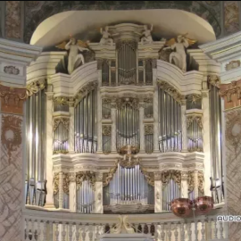 OrganArt Media – 1730 Tobias-Heinrich-Gottfried-Trost Organ (HAUPTWERK) (Premium)