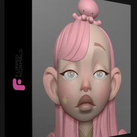 Flipped Normals – Character Facial Rigging for Production – A former CGMA 8-weeks course (Premium)