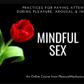 Plesure Mechanics – Mindful Sex (Premium)