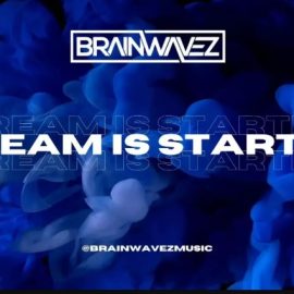 Brainwavez ‘Crackdown’ Project Breakdown TUTORiAL (Premium)