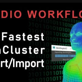 CGCircuit – The Fastest SkinCluster Export/Import [Maya] (Premium)