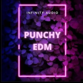 Infinity Audio Punchy EDM (Premium)