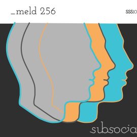 Subsocial Studios SSS100 _meld 256 (Ableton Meld presets) (Premium)