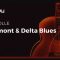 Truefire Mike Tolle’s Piedmont & Delta Blues Tutorial  (Premium)