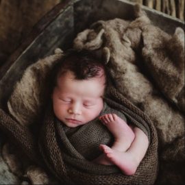 Twig & Olive – Floral Matte LR (Premium)