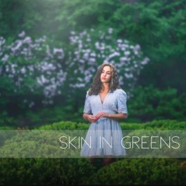 AwTeaches – Skin In Green (Premium)