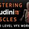 FlippedNormals – Mastering Houdini Muscles: A Studio Level VFX Workflow (Premium)