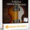 Orange Tree Samples Evolution Vintage Violin Bass v1.2.5 KONTAKT (Premium)