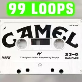 Purply Camel Vol.1 (Premium)